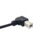 90 Derece Sol Açılı USB 2.0 A Erkek Sola Açılı USB 2.0 B Erkek Tarayıcı Yazıcı Kablosu 20 cm (Yurt Dışından) 4