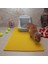 60X110 cm Kedi Tuvalet Önü Paspası Sarı 1