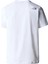M S/s Mountaın Lıne Tee Erkek T-Shirt NF0A87NTFN41 2