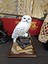 Harry Potter Standlı Baykuş Hedwig 5