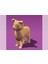 Sevimli Low Poly Köpek Biblosu 1