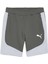 Evostripe Shorts Erkek Şort 1