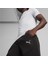 Evostripe Shorts Erkek Şort 4