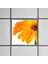 60X60 LED Panel Aydınlatma Armatür Avize Sıva Altı Desenli Tekli 46510326SA 4