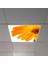 60X60 LED Panel Aydınlatma Armatür Avize Sıva Altı Desenli Tekli 46510326SA 1
