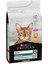 Renal Plus Adult Kuru Kedi Maması, Zengin Tavuk Eti Içeriği 3 kg 1