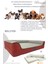Bolster Üst Kalite Köpek Yatağı 6,5 ve 10CM Süngerli Kılıflı Sıvı Geçirmez Alezli 1