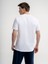 Regular Fit Erkek Tshirt K.kol 3