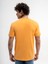 Regular Fit Erkek Tshirt K.kol 3
