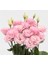 Lisianthus ( Lale Gül ) Advantage Serisi - Pembe ( 5 Tohum ) 4