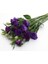 Lisianthus ( Lale Gül ) Advantage Serisi - Mor ( 5 Tohum ) 2