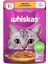 Pouch Jöle Içinde Tavuklu Yetişkin Kedi Konservesi 28 Adet 85 gr 1