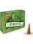 Forest Cones 1