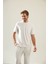 Erkek Soft Touch Lacoste T-Shirt 2