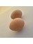 Montessori Waldorf Ahşap Yumurta Easter Egg 2 Adet 1