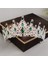 Renk Kristal Water Drop Bridal Jewelry Sets Rhinestone Tiaras Crown Necklace Earrings Wedding Dubai Jewelry Set (Yurt Dışından) 4