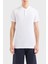 Pamuklu Regular Fit Polo Yaka T Shirt Erkek Polo Yaka T Shirt 3dzfhz Zjxhz 1100 1