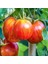 Tigerella Domates Tohumu (15 Tohum) 1