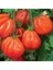 Rote Pear Armut Domates Tohumu (15 Tohum) 1
