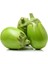 Apple Green Patlıcan Tohumu (15 Tohum) 1