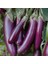 Doğal Long Purple Patlıcan Tohumu (50 Tohum) 1