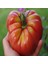 Marmade Domates Tohumu (15 Tohum) 1