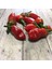 Jigsaw Pepper Tohumu (15 Tohum) 1