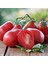 Italian Red Pear Domates Tohumu (15 Tohum) 1