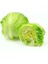 Doğal Iceberg Marul Tohumu (1 Gram) 1