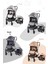 BC 305 - Zeta Travel Sistem Bebek Arabası ( Vizon ) 3