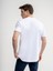 Regular Fit Erkek Tshirt K.kol 3
