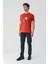 Tarçın Baskılı Bez Ayağı Bisiklet Yaka %100 Pamuk Casual Slim Fit Dar Kesim T-Shirt 1011240168 5