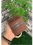 Taba Patlı Tasarım Deri Kartlık - GRD2403XW22176 1