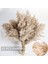 Xin Yue Zhang 30PCS Boho Dekor Kabarık Pompas Çim, Boho Için Doğal Kuru Pampas Çim Küçük Pampass Toplu (Yurt Dışından) 5
