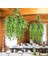 Yapay Çiçek 4lü Set Sarkan Boston Fejka Bambu Şimşir 60CM 5dallı Yapay Sarmaşık Yeşil 3