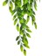 Yapay Çiçek 4lü Set Sarkan Boston Fejka Bambu Şimşir 60CM 5dallı Yapay Sarmaşık Yeşil 5