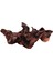 Tank Driftwood Hideaway Sürüngenler Driftwood Dekor Heykel Retro Şube 15 cm Ila 20 cm (Yurt Dışından) 3
