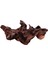 Tank Driftwood Hideaway Sürüngenler Driftwood Dekor Heykel Retro Şube 15 cm Ila 20 cm (Yurt Dışından) 4