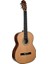 SCB100N Klasik Gitar 1