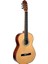 Solares SCS100N Klasik Gitar 1