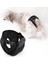 Köpek Regl Külodu -Sanitary Pants 1