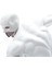 Attack On Titan Collectible Pvc Statue Anime Model (Armored Titanium) (Yurt Dışından) 5