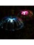 Jellyfish Solar Garden Lights Güneş Enerjili Bahçe Aydınlatması Denizanası Görünüm 4