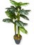 Monstera Yapay Ağaç 3 Gövde 150 cm 1