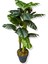 Monstera Yapay Ağaç 3 Gövde 150 cm 2