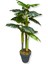 Monstera Yapay Ağaç 3 Gövde 150 cm 4