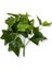 Yapay Bitki Salon Sarmaşığı Demeti 30 cm 7 Dal 2