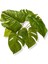 Yapay Bitki Monstera Demet 40 cm 3