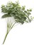 Yapay Okaliptus Demeti 50 cm 3