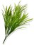 Yapay Bitki Saz Demeti 75 cm 2